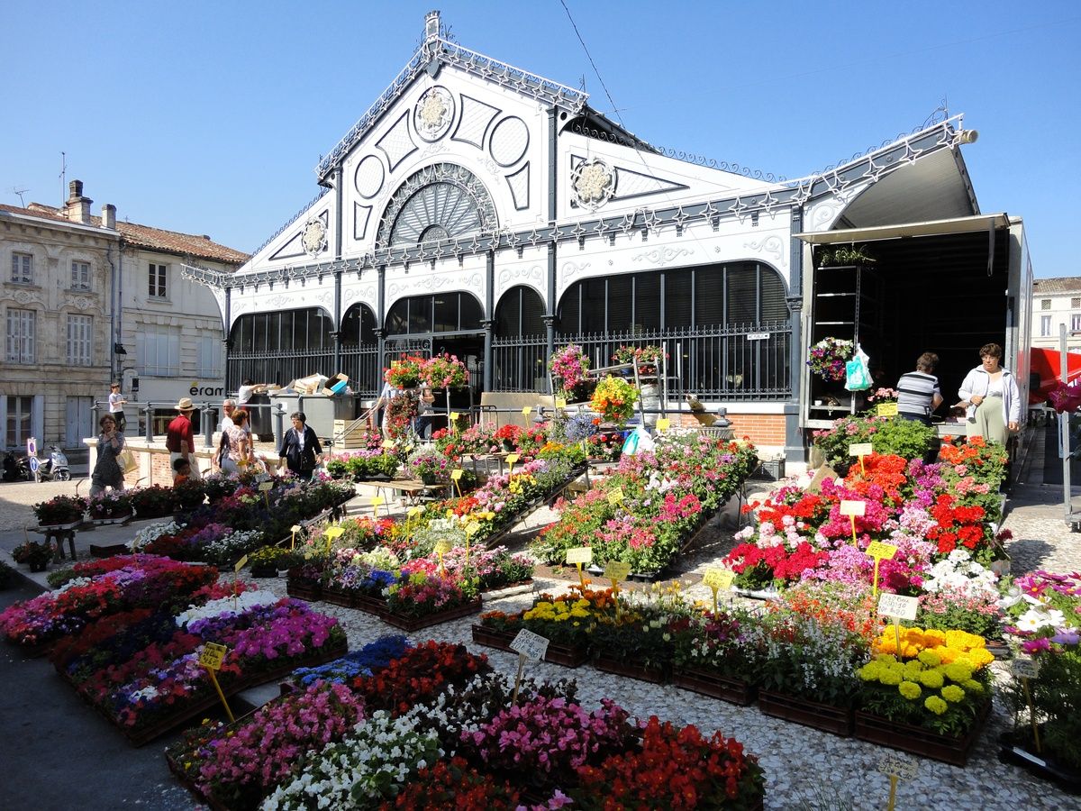 A flower market with a building in the background.