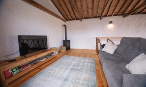 Una sala de estar acogedora con televisor, mueble bajo para equipo multimedia, sofá y chimenea.
