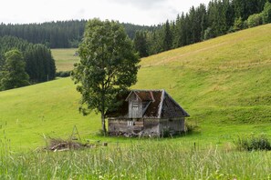 Ein rustikales Holzhäuschen mit geneigtem Dach, umgeben von einem üppigen Grünland und einem dichten Wald im Hintergrund.