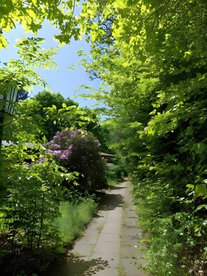 Ein schmaler Pfad, gesäumt von üppigem Grün und blühenden Pflanzen.