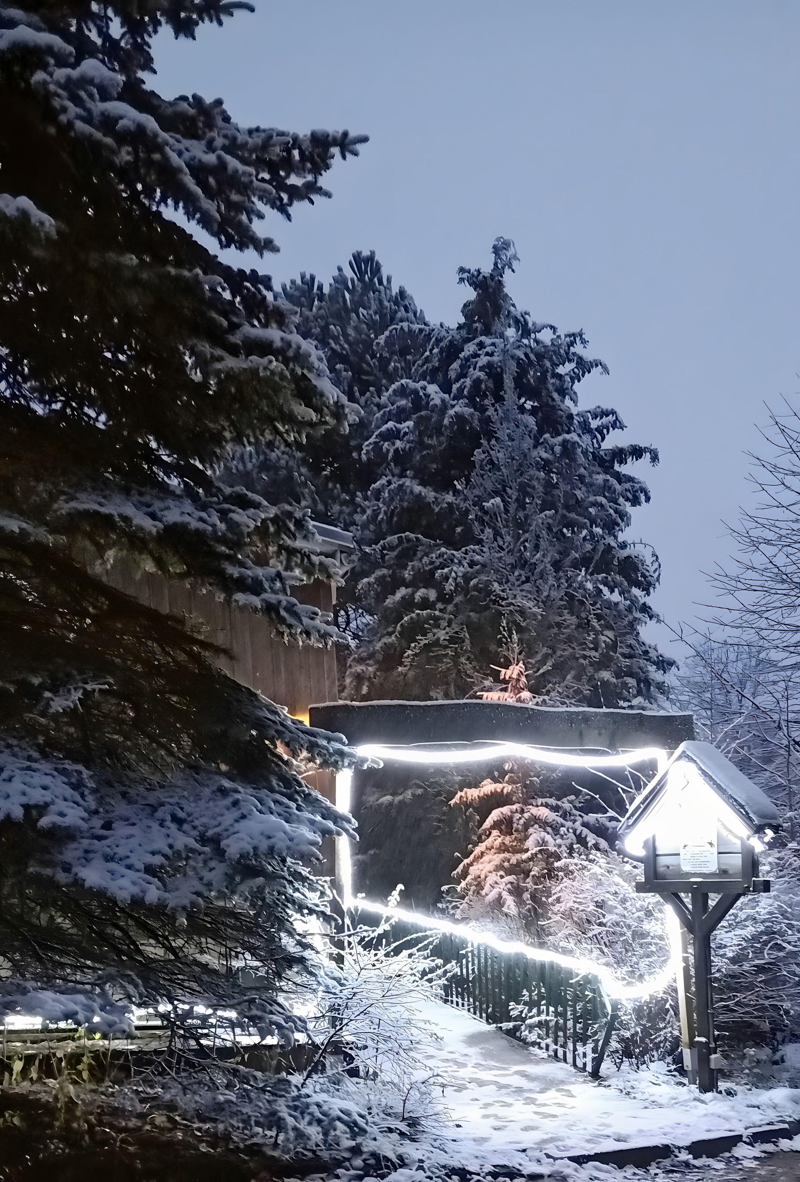 A snow-covered outdoor area with a metal structure, possibly a shelter, and snow-laden trees.