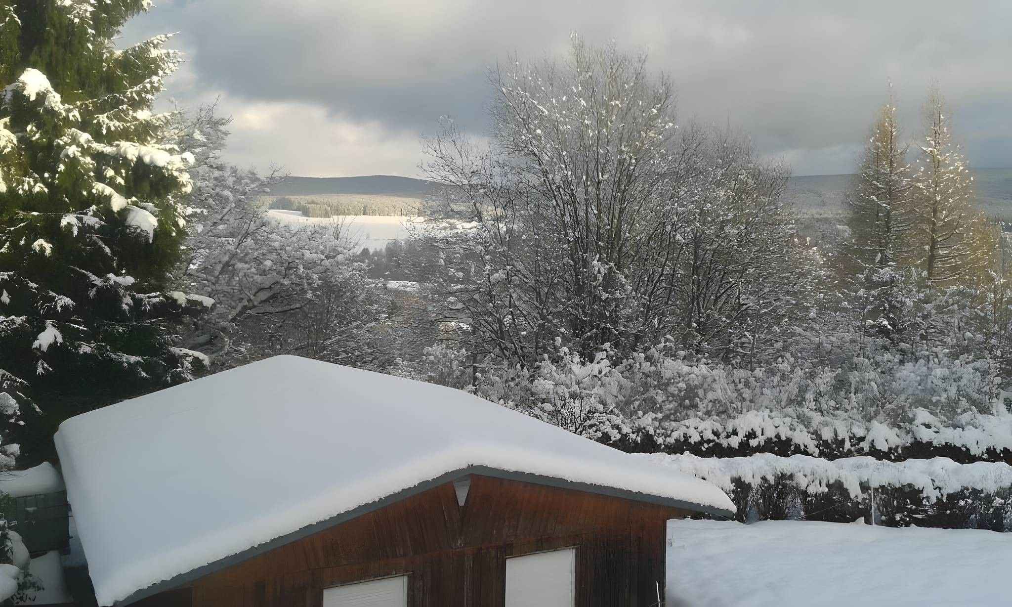 Eine Holzhütte mit schneebedecktem Dach, umgeben von schneebedeckten Bäumen und einem bewölkten Himmel.