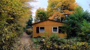 Een klein houten huisje met een grindpad er naartoe, omringd door herfstbladeren.