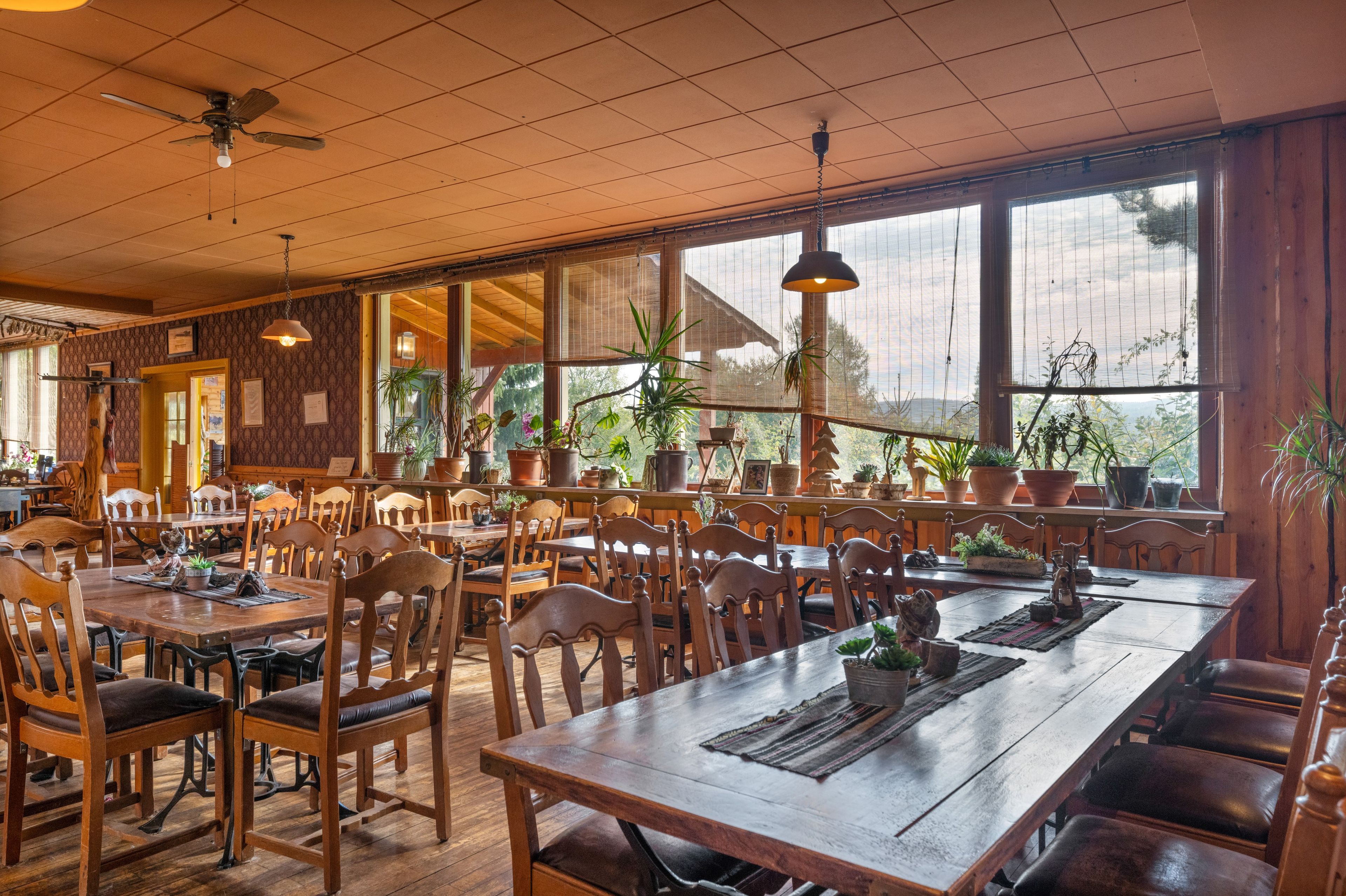 Un restaurant avec des tables et des chaises en bois, de grandes fenêtres ornées de plantes et un ventilateur de plafond.