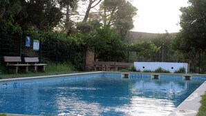 Piscina com borda em azulejo, rodeada por grama e árvores.