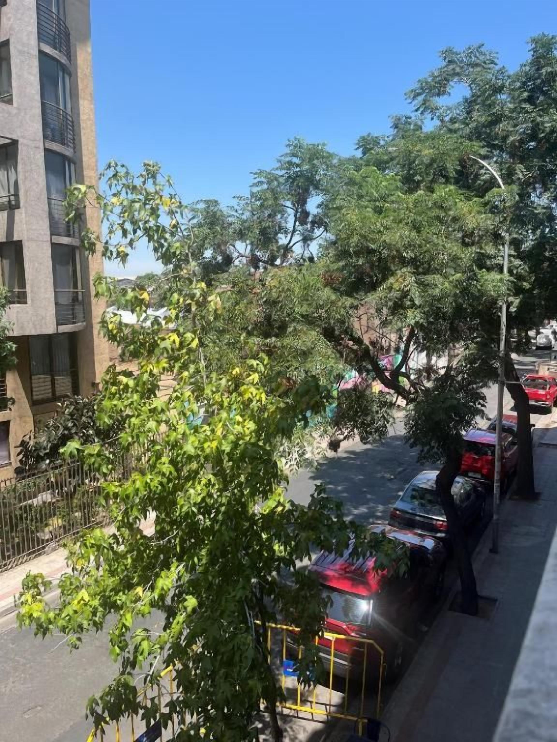 Vista da rua com um prédio à esquerda, árvores e carros estacionados.