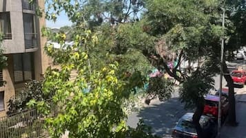 Vista da rua com um prédio à esquerda, árvores e carros estacionados.