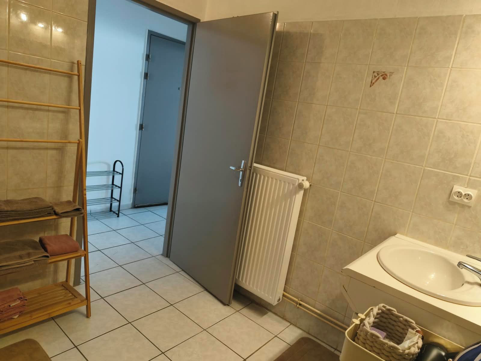 A bathroom with a sink, a towel rack, and a radiator.