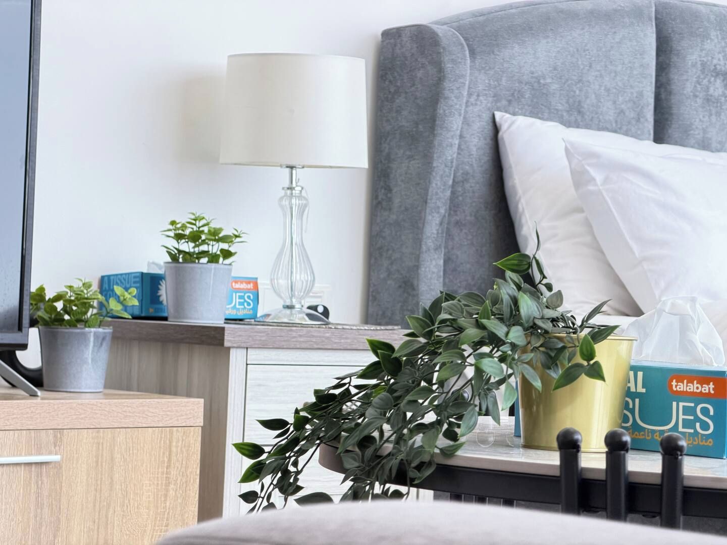 A neatly arranged bedroom with a grey upholstered headboard, a bedside table with a lamp, a potted plant, and a box of Talabat tissues.