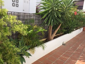 Een tuin met verschillende planten en een witte muur.