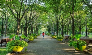 A park pathway lined with yellow planters and benches, with trees overhead. - Vrbo Property (Montréal)