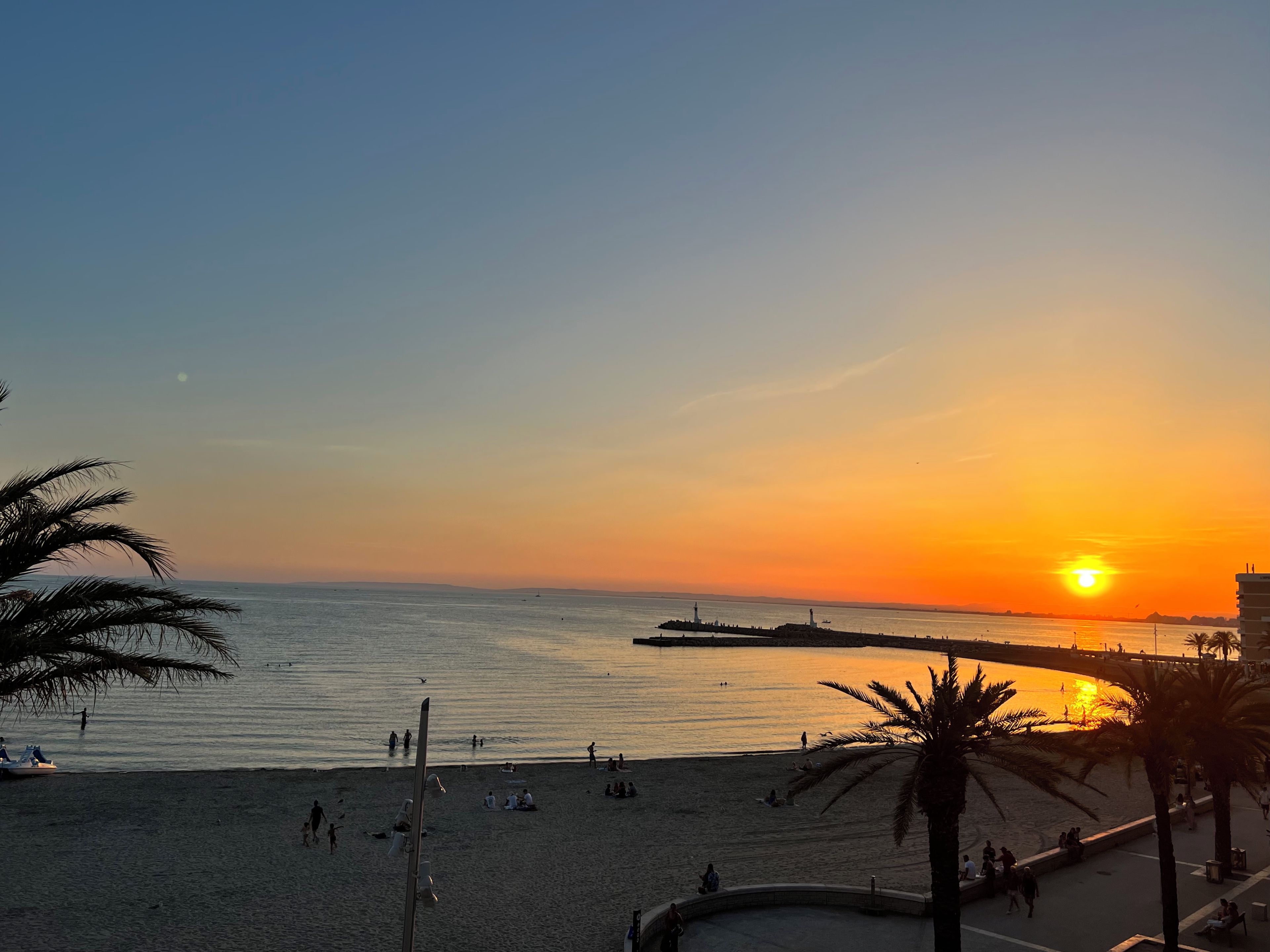 A beach with a sunset, palm trees, and a pier.