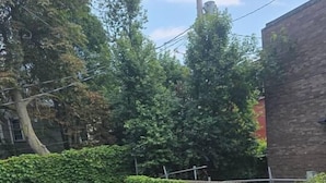 A wooden deck with a table and chairs, a potted plant with pink flowers, and a wooden fence. - Patio Perfection in Allentown (Buffalo)
