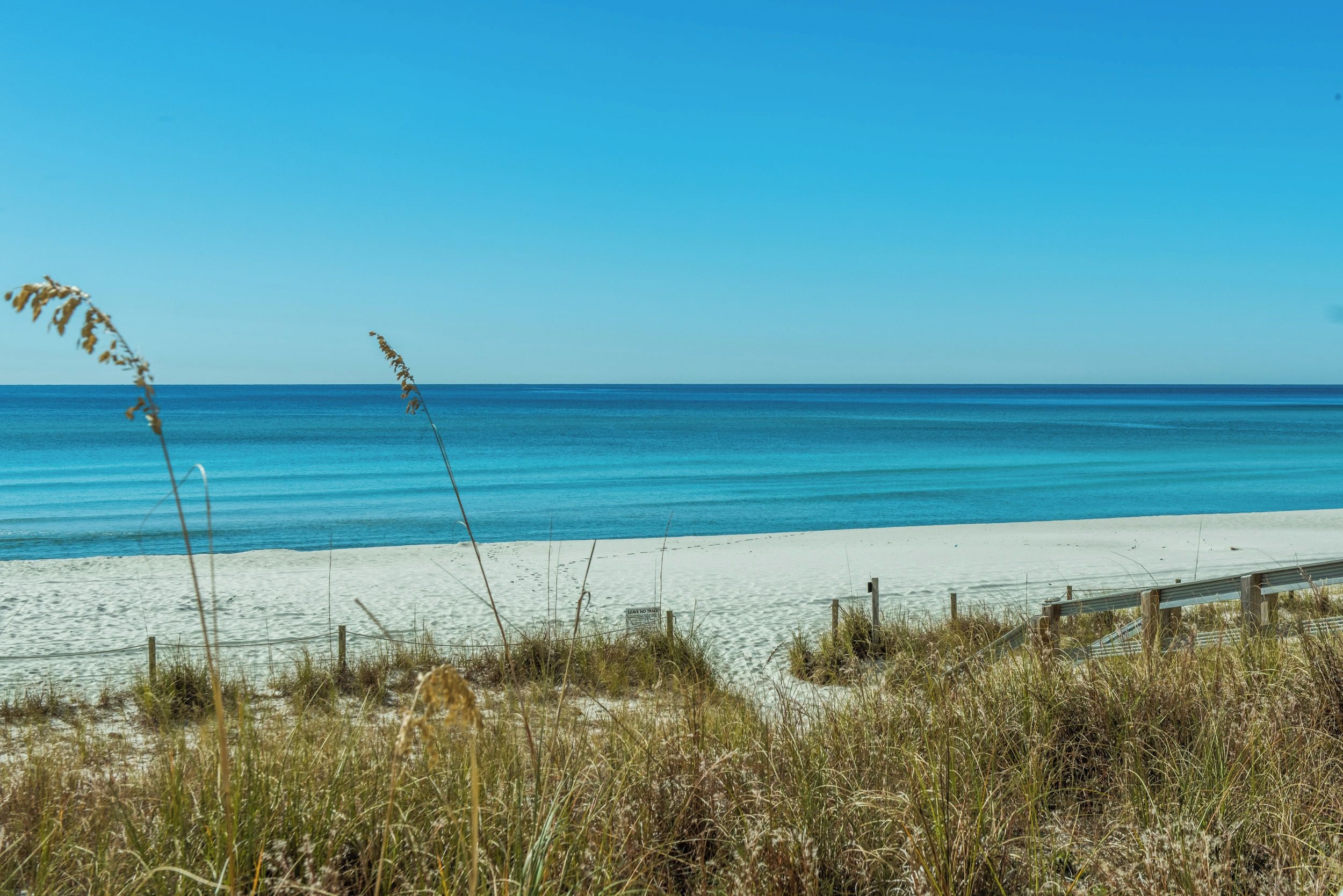 Ein Strand mit klarem, blauem Wasser, sandigem Ufer und grüner Vegetation.