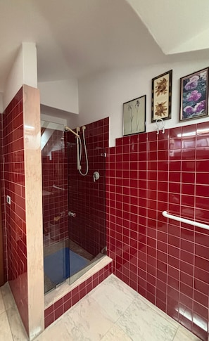 Ein Badezimmer mit roten Fliesenwänden, einer Duschkabine aus Glas und einem weißen Handtuchhalter.