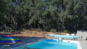 Ein Schwimmbecken mit Fliesen umgeben von Bäumen und wolkenlosem Himmel.