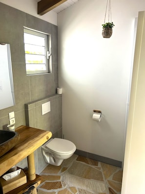 A bathroom with a wooden vanity, a toilet, a hanging plant, and a window.