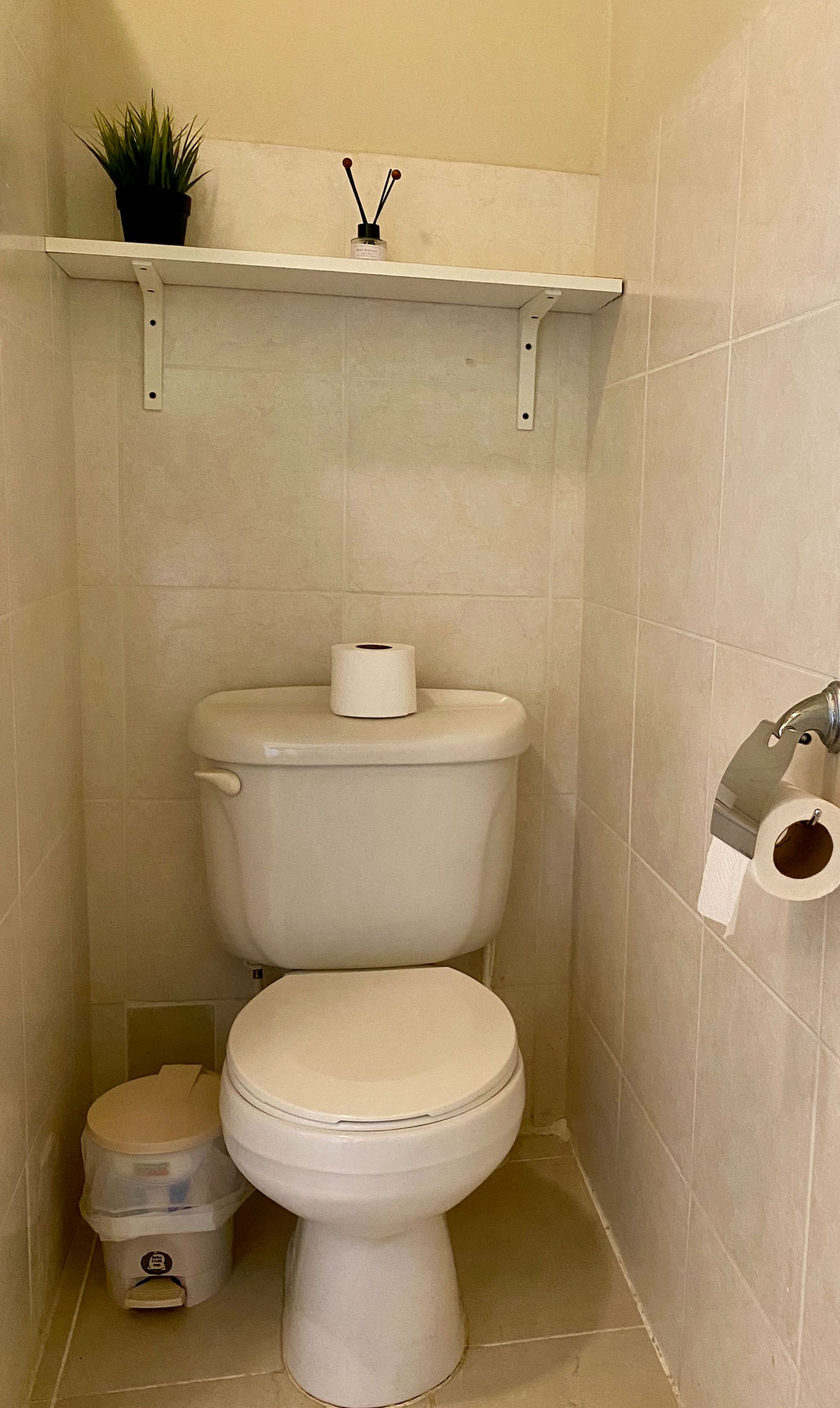 A small bathroom with a toilet, a trash bin, and a shelf with a plant and a bottle.