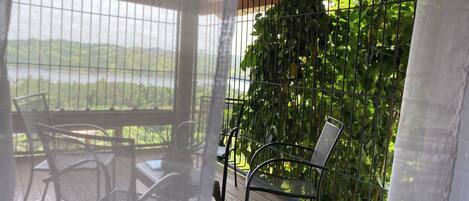 A covered outdoor seating area with metal chairs and a view of a lake through a metal fence.