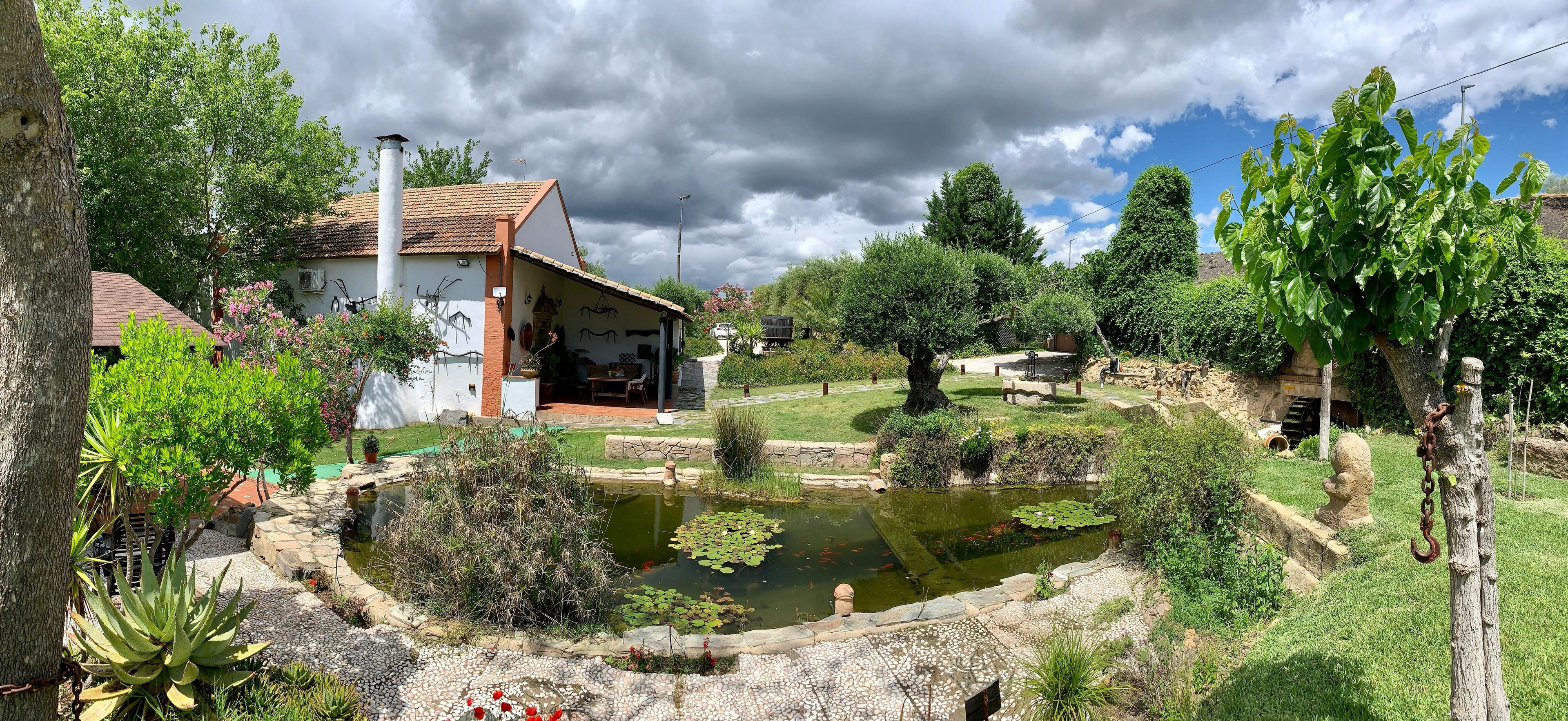 A house with a garden, a pond with fish, and a tree.