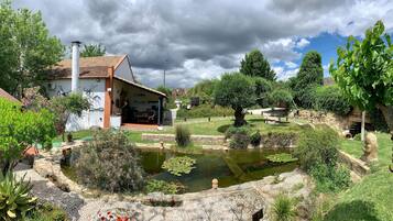 A house with a garden, a pond with fish, and a tree.