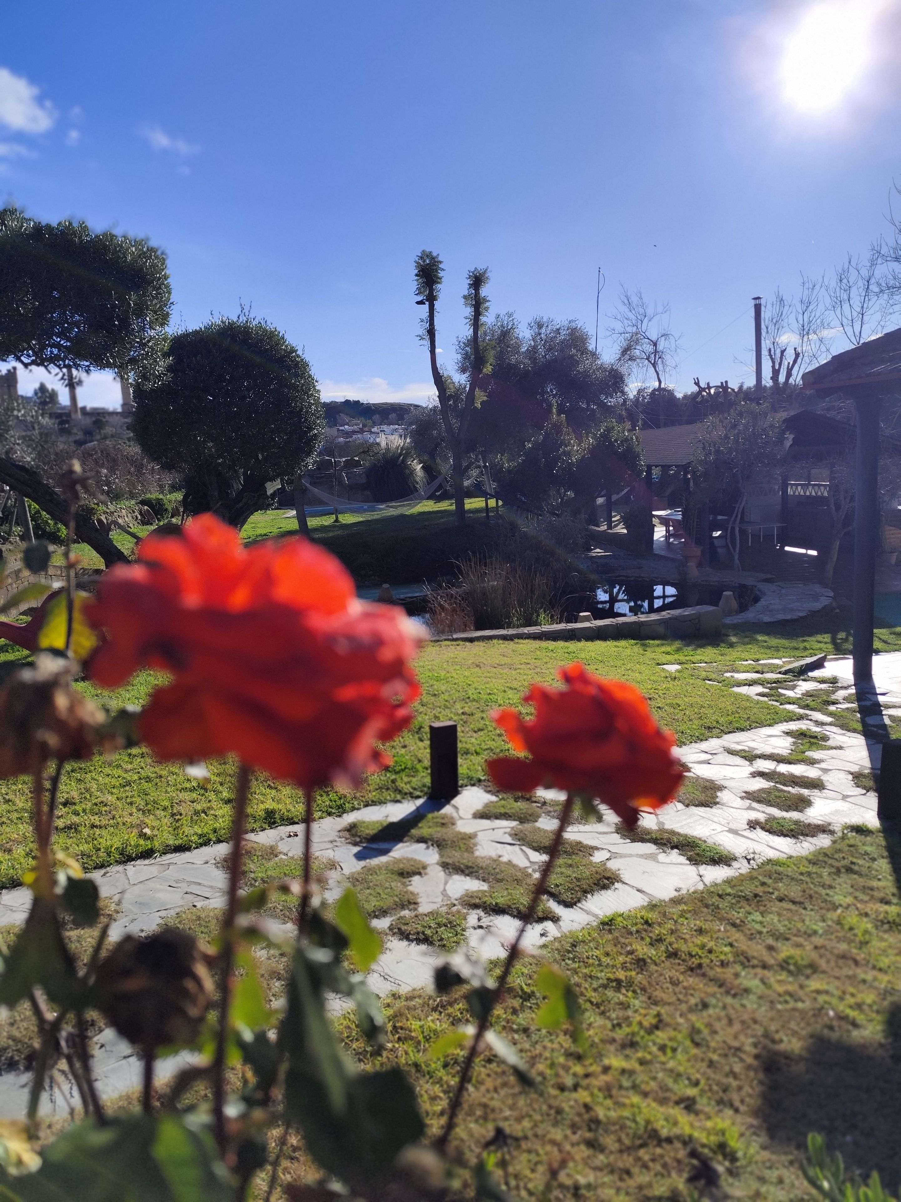 Un jardín con un camino, una hamaca y una vista de un pueblo al fondo.