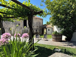 A courtyard with a rustic building, a pergola with vines, and a large planter.