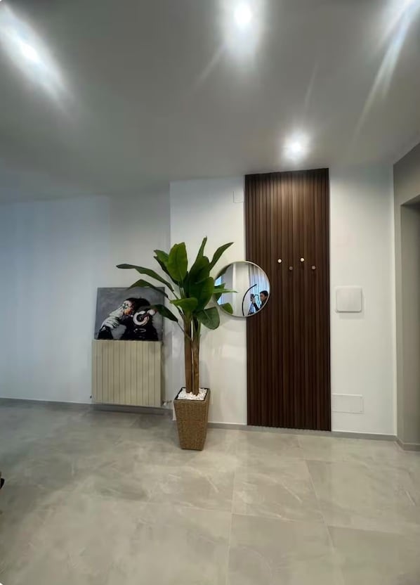 Un interior moderno con una planta en maceta, un espejo en la pared y una puerta de madera.