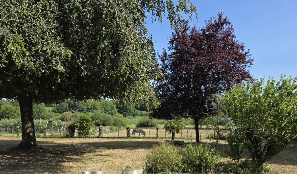 Área externa cercada com árvores e um campo gramado.