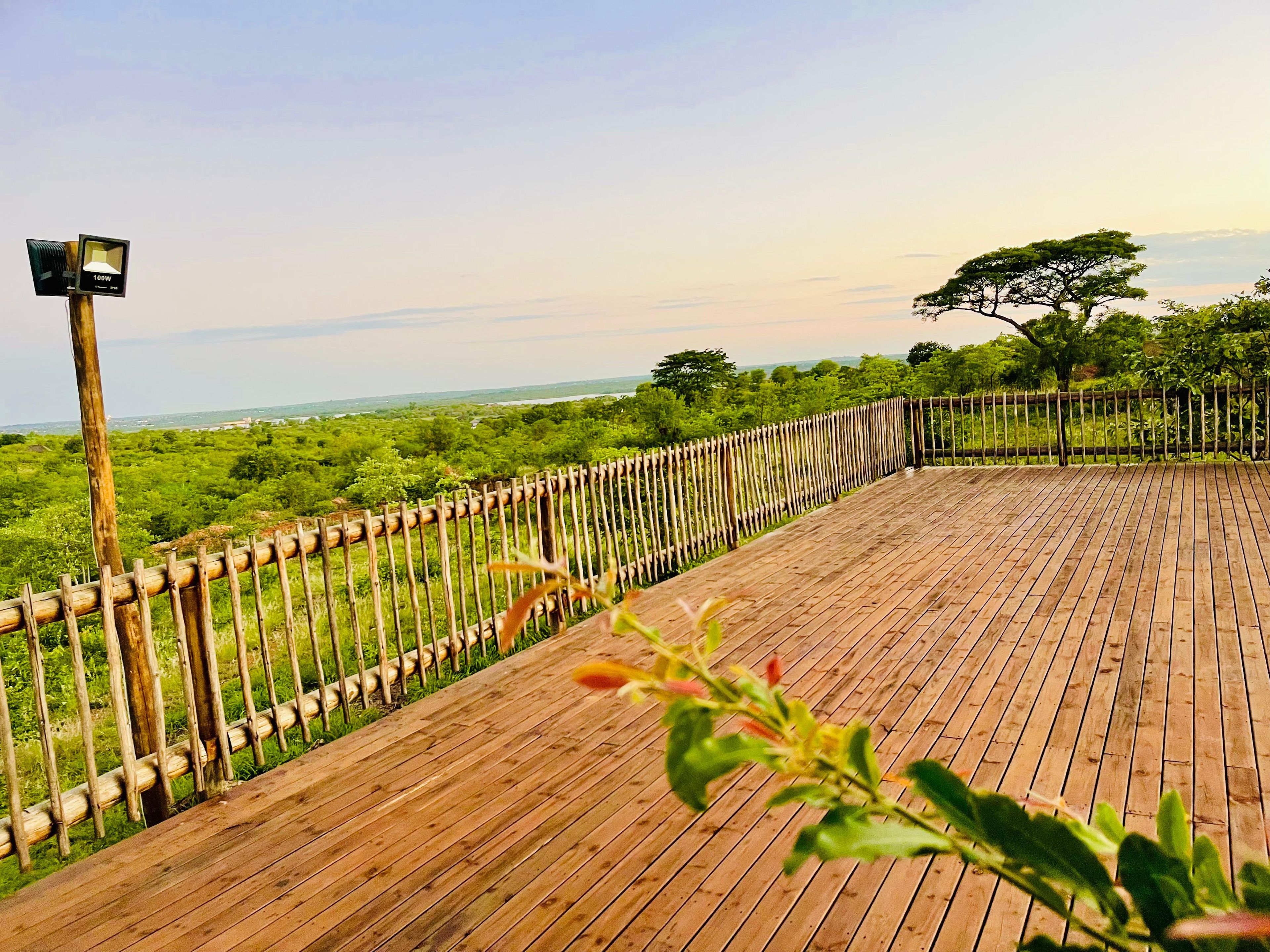 Una terraza de madera con vistas a un paisaje verde y un árbol.