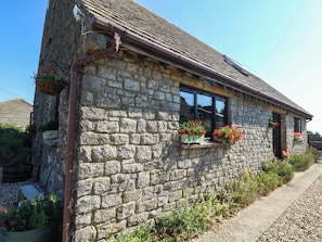 A stone building with a window, a door, and a small garden area with plants. - Dunvant (Swanage)