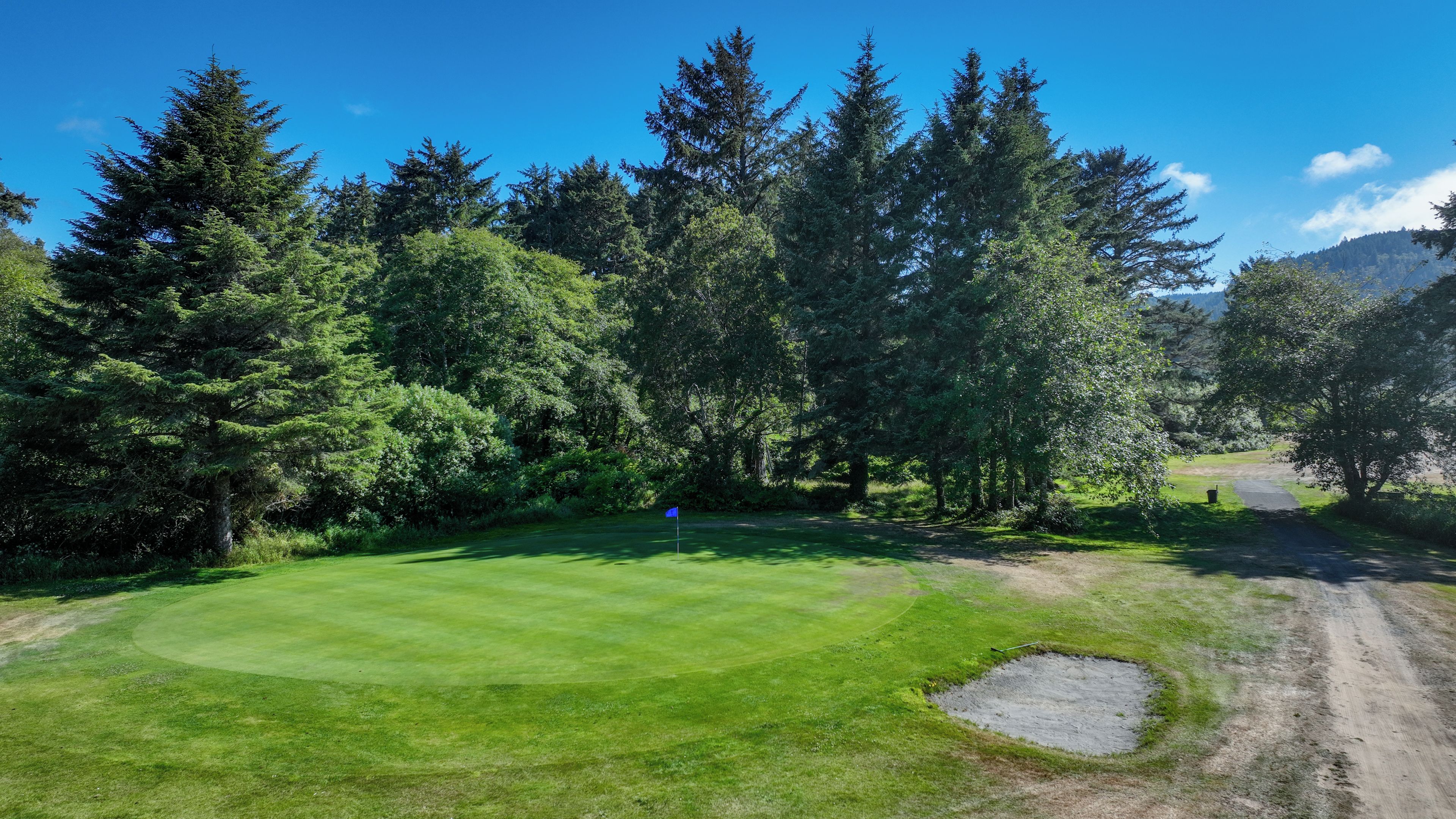 A golf course with a flag on the green, surrounded by dense trees and a clear sky.