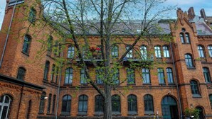 Eksteriør