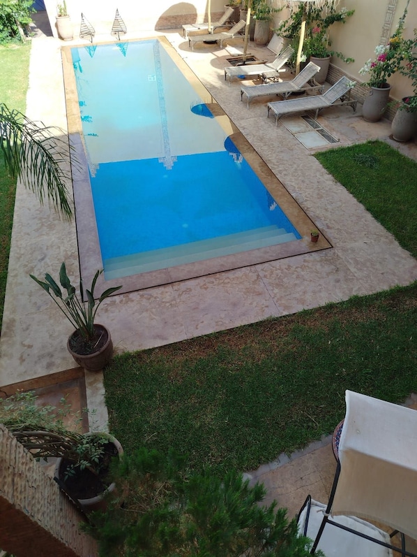 Piscina com espreguiçadeiras e plantas em vasos.