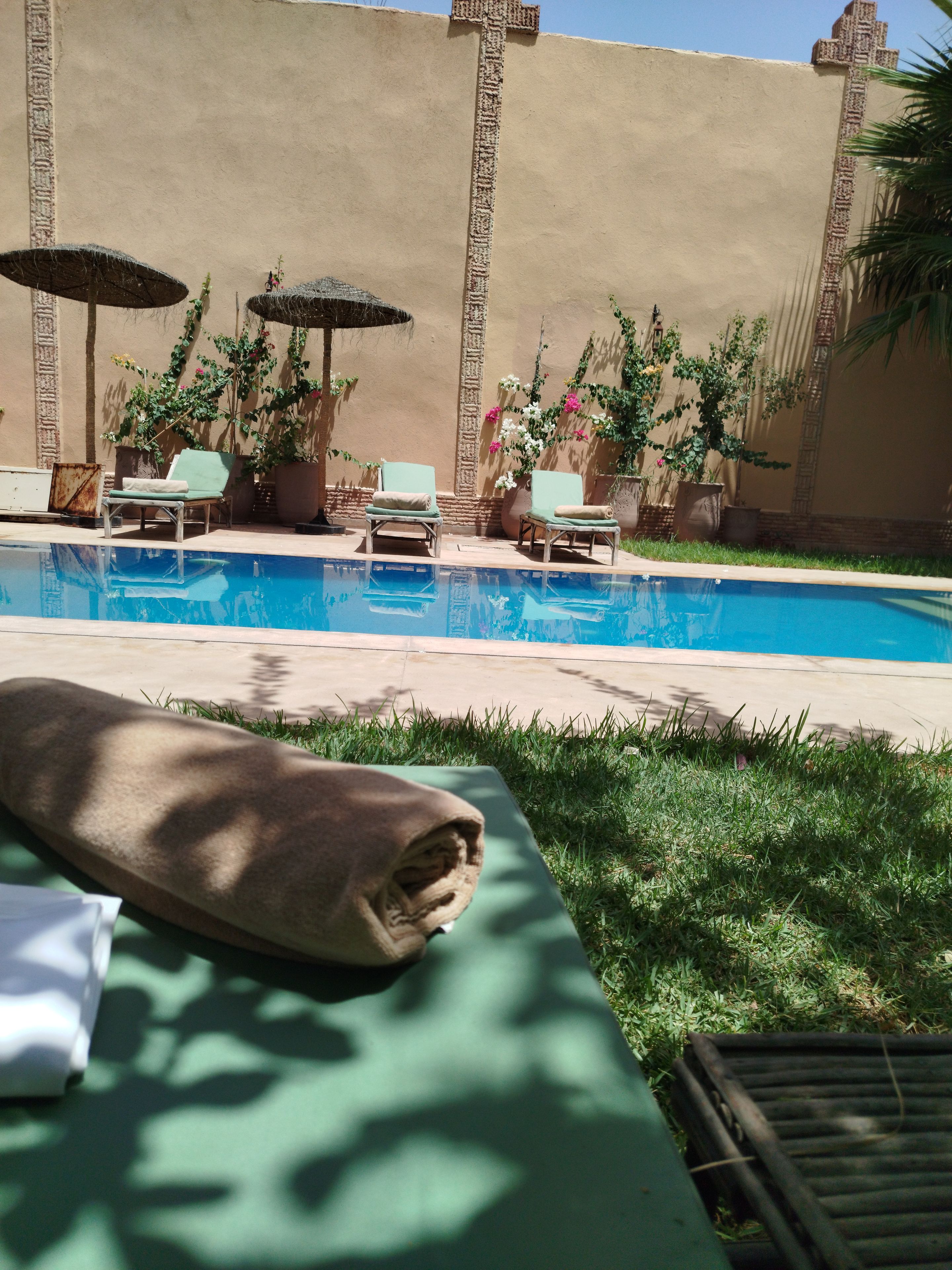 Un espace piscine agrémenté de chaises longues et de parasols, entouré de plantes en pot et bordé d’un mur de couleur beige.