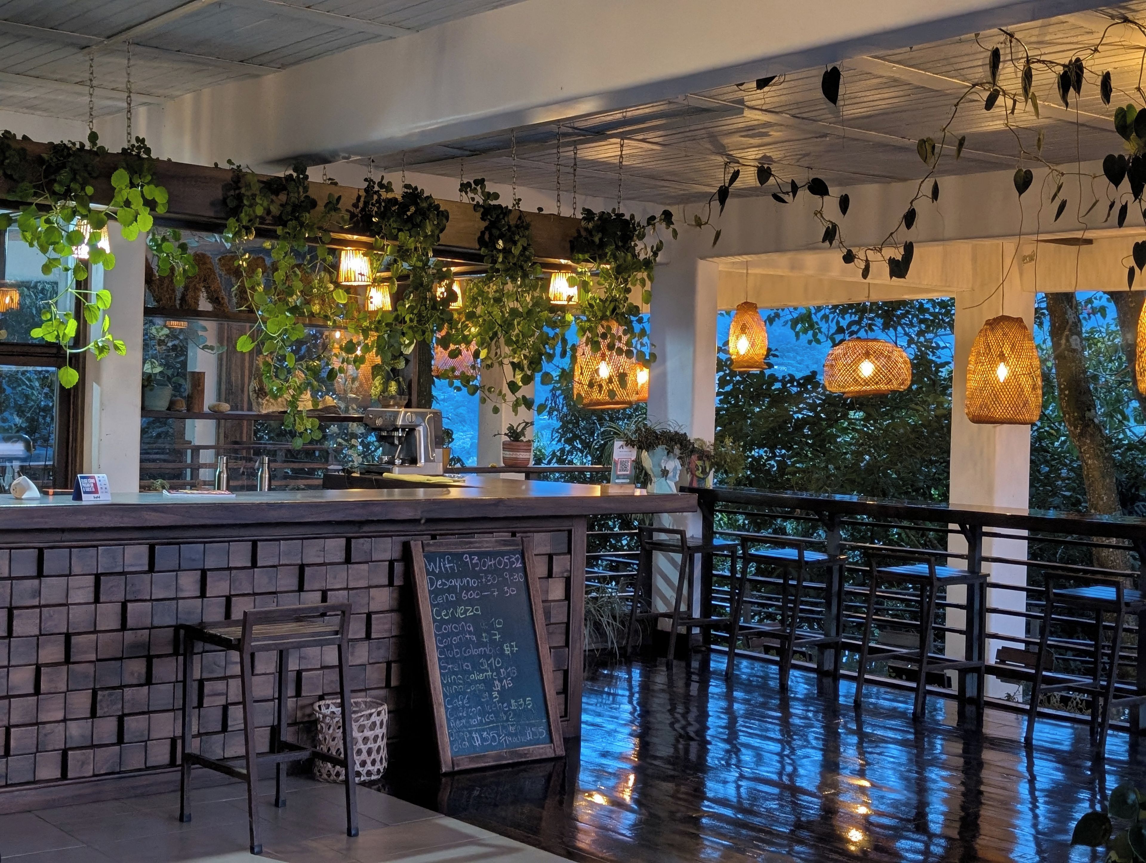 A bar area with a chalkboard menu, hanging plants, and pendant lighting.