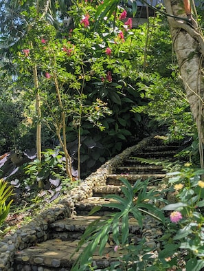 Una escalera de piedra rodeada de exuberante follaje y plantas en flor.