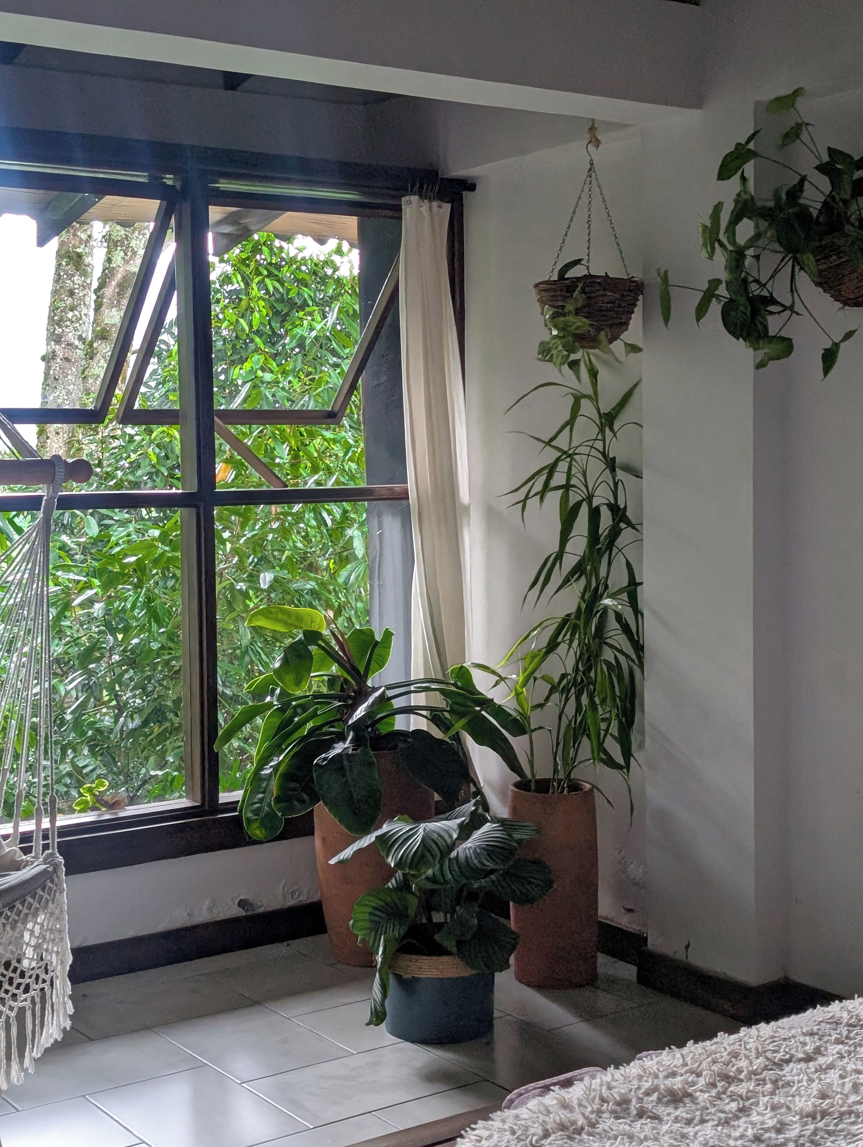A room with a large window, a hanging plant, and a macrame chair.