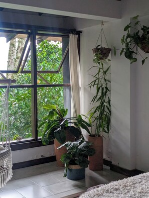 A room with a large window, a hanging plant, and a macrame chair.