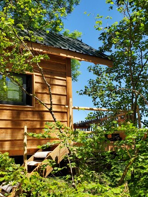 A wooden cabin with a window, surrounded by lush greenery and a wooden fence.