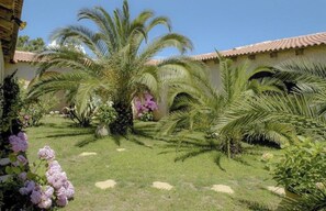 Un jardí amb palmeres i plantes florejants.