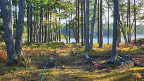A forested area with a path leading to a body of water. - Stunning Maine Island Getaway (Harpswell)