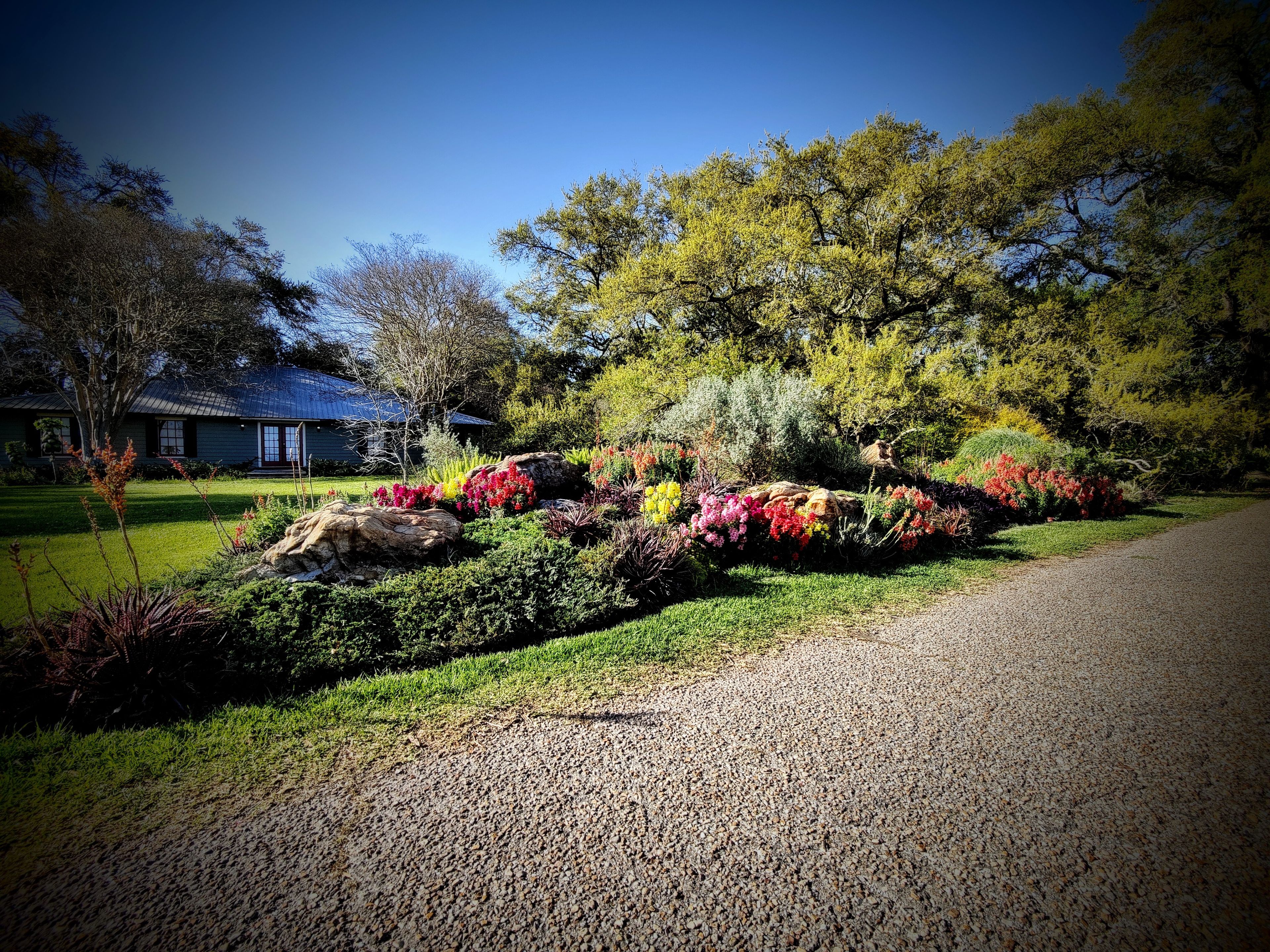 Ein gepflegter Garten mit verschiedenen Pflanzen und Blumen umgibt ein Haus mit blauem Dach, das von einer Schotterauffahrt erreichbar ist.