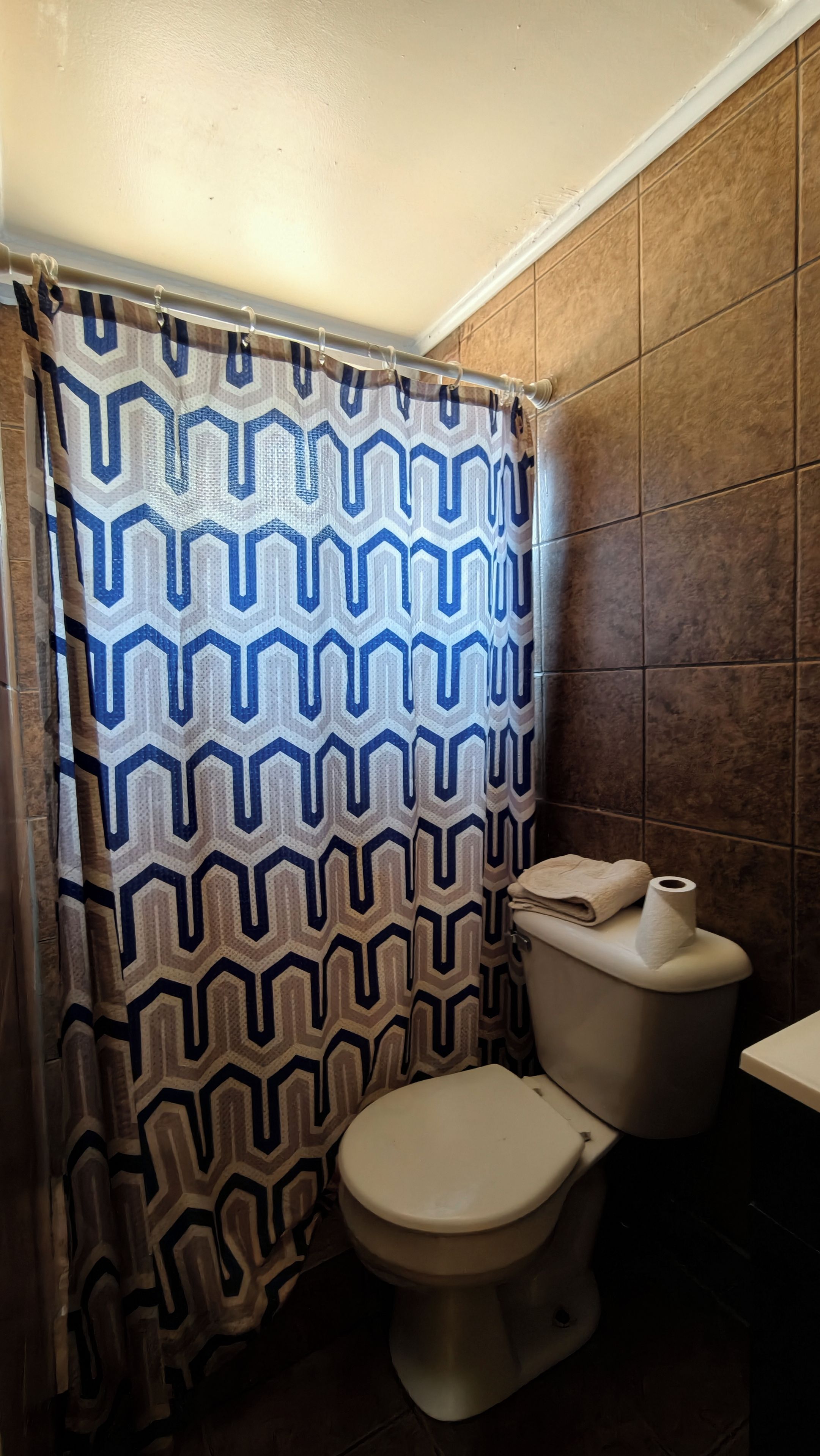 Un baño con cortina de ducha estampada, un inodoro y paredes con azulejos.