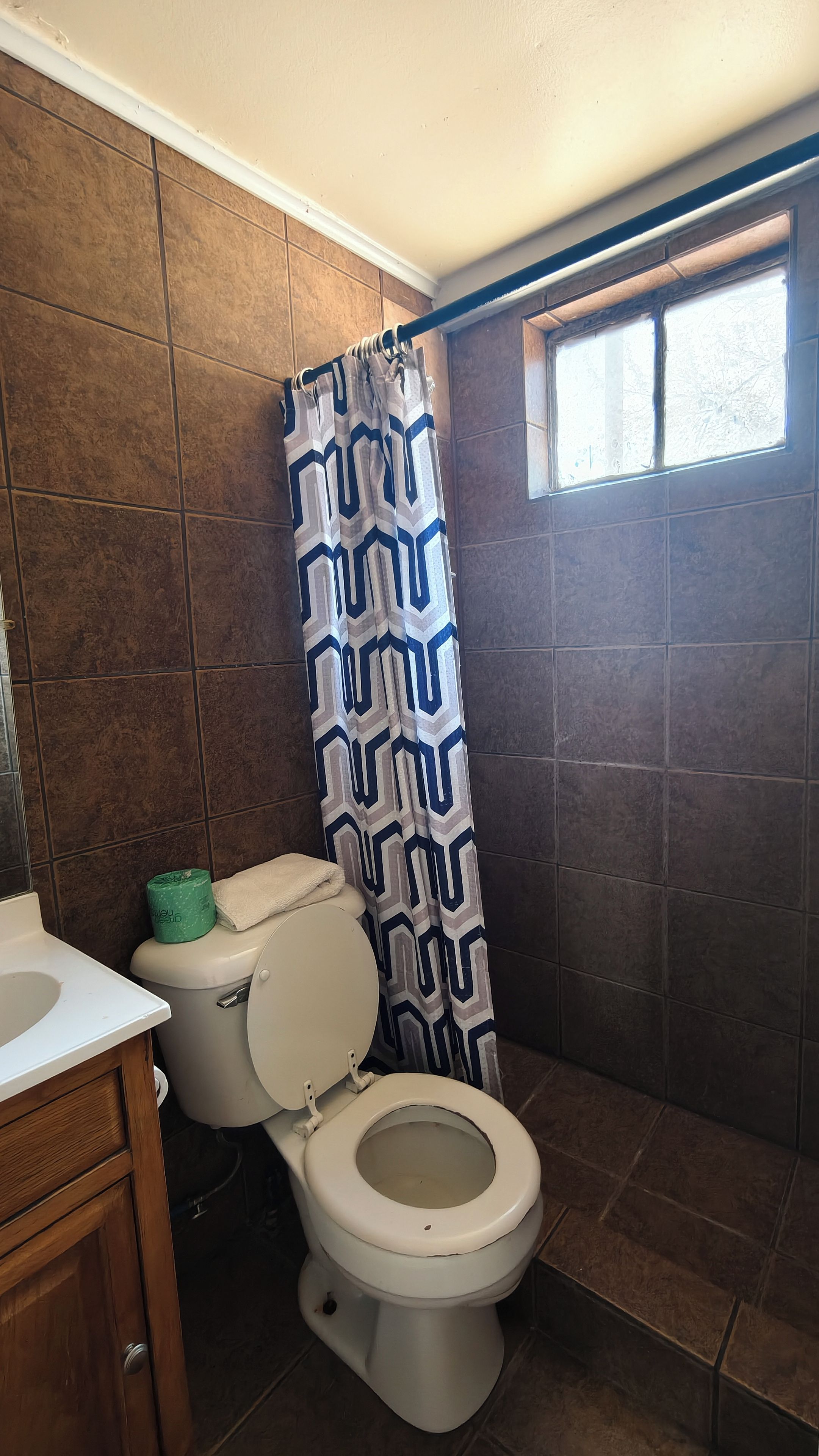 Une salle de bain avec des toilettes, un rideau de douche et une fenêtre.