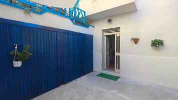 A blue gate, a small entrance, and a potted plant.