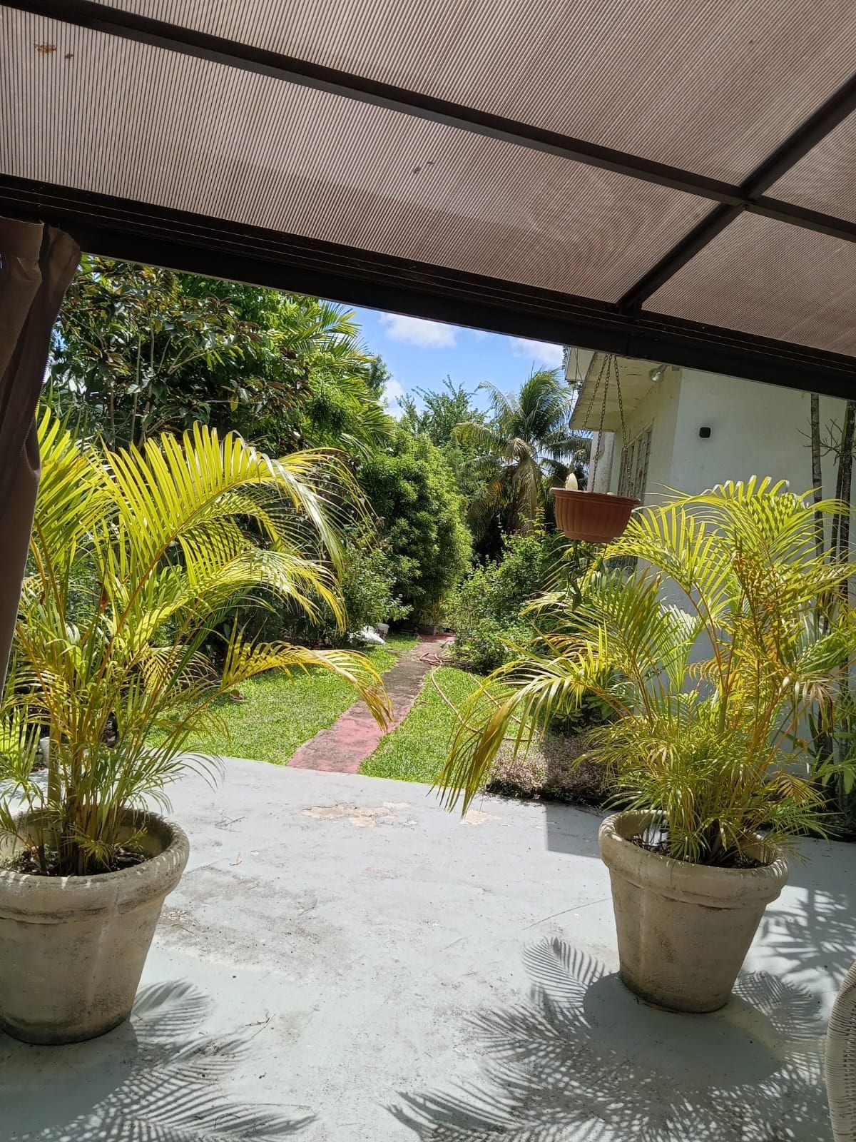 A covered outdoor area with potted plants and a concrete path leading to a building.