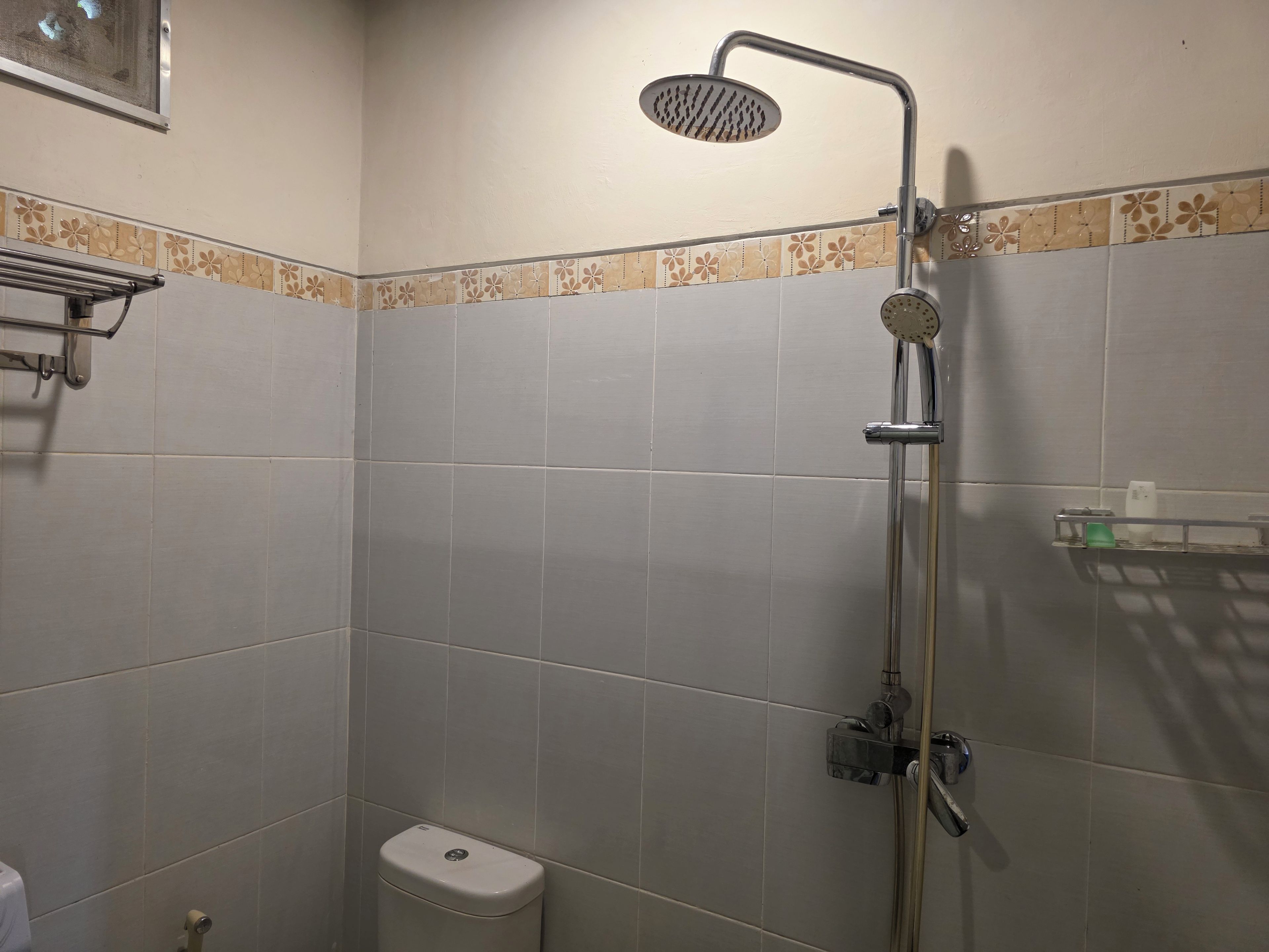 Eine Dusche mit Duschbrause, Wandarmatur und Toilette.