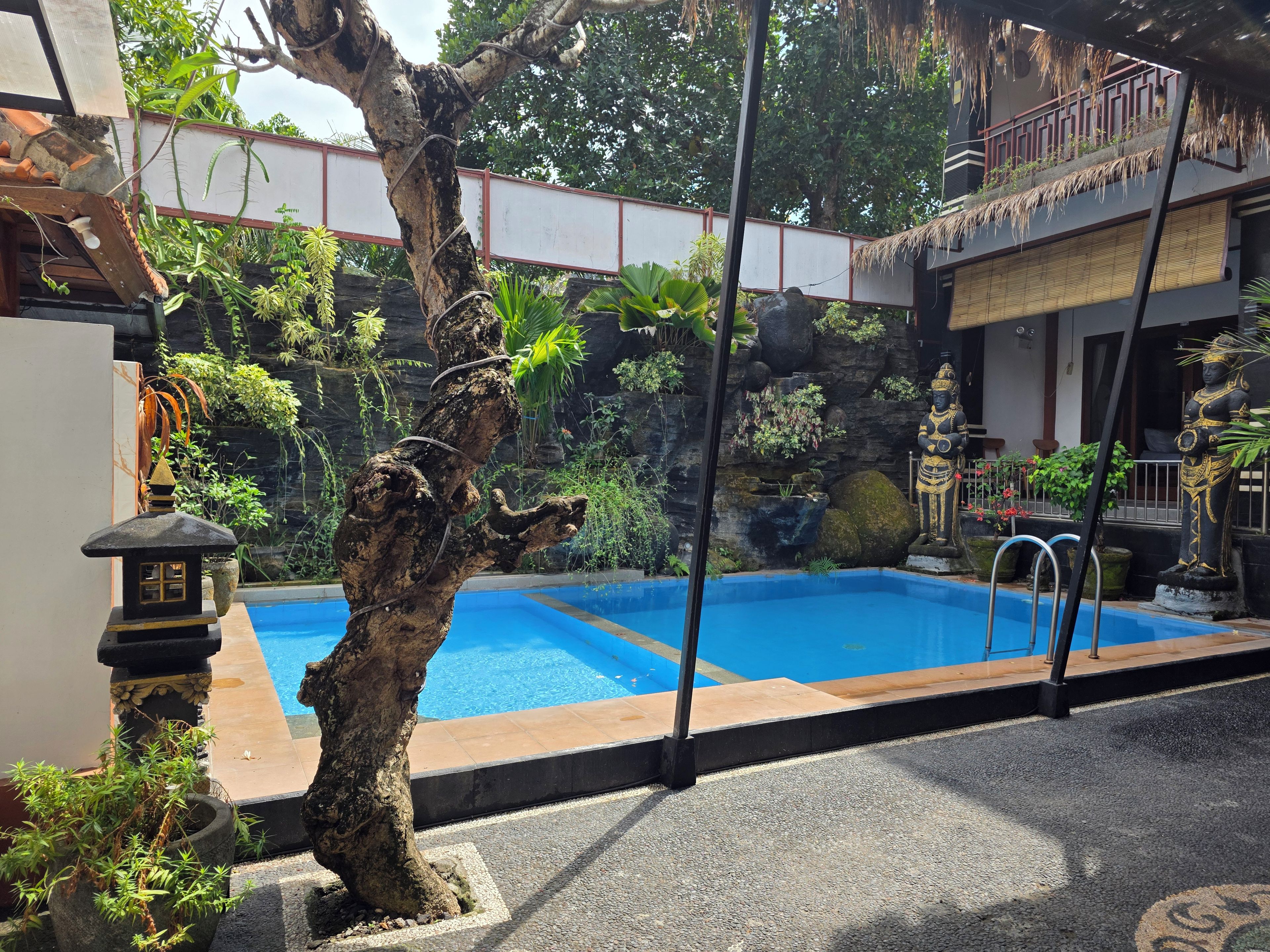 Ein Swimmingpool mit einem Baum im Vordergrund, einer Felswand mit Pflanzen und einer Statue rechts.