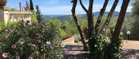 A wooden deck with a view of a mountainous landscape.
